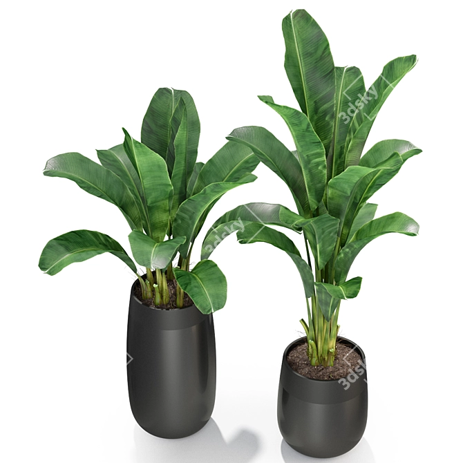 Variety of 309 Plant Collection 3D model image 2