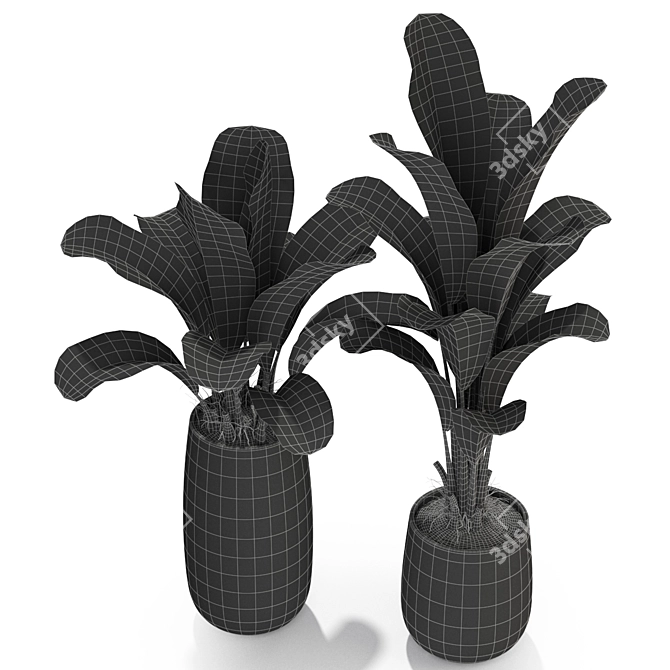 Variety of 309 Plant Collection 3D model image 4