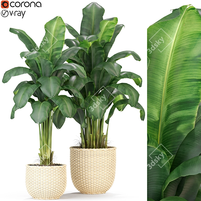 312 Plants Collection: Vibrant and Lush Foliage 3D model image 1