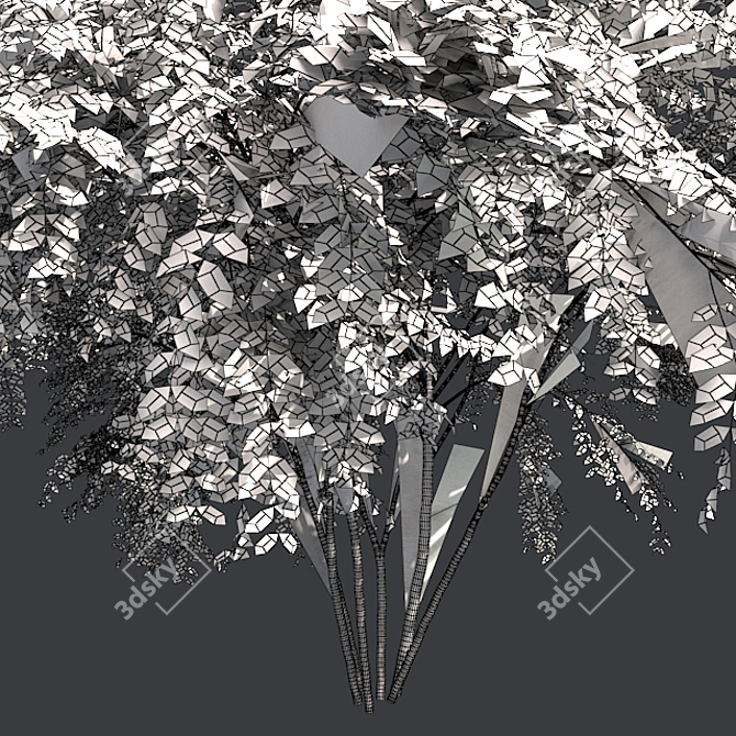Japanese Angelica Tree: Optimized, Quad-based, High-Quality 3D Model 3D model image 5