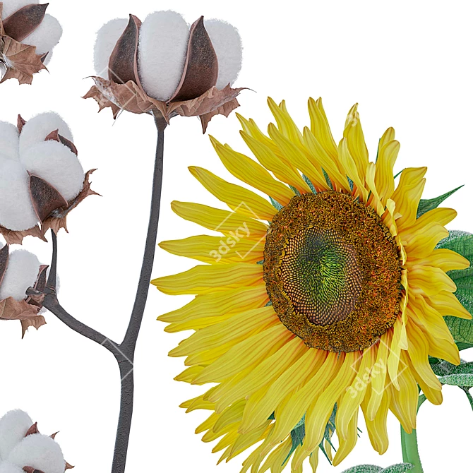 Sunflower and Cotton Decor Set 3D model image 2