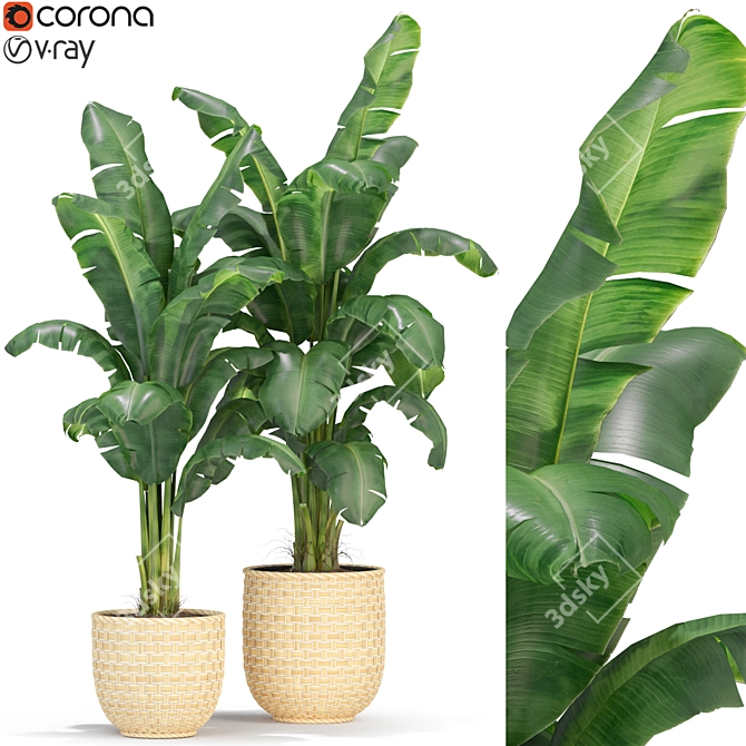 Green Oasis: Plant Collection 314 3D model image 1