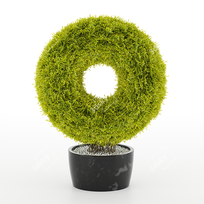 Giant Thuja Folded Torus 3D model image 2