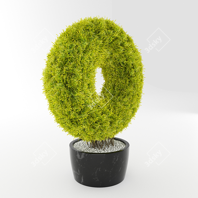 Giant Thuja Folded Torus 3D model image 3