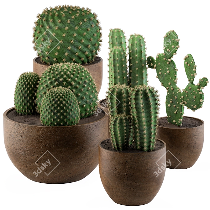 Desert Vibes: Cactus Collection 02 3D model image 1