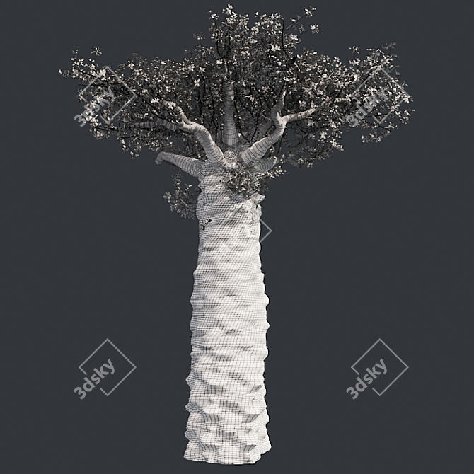 Exquisite Madagascan Baobab Tree 3D model image 5