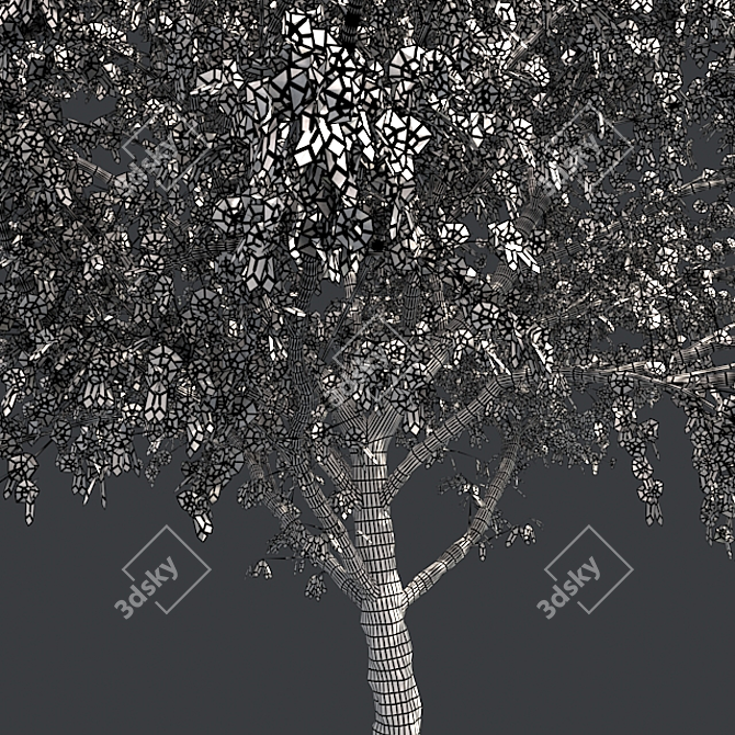 Pristine Blossom: Ultimate Spring Tree 3D model image 5