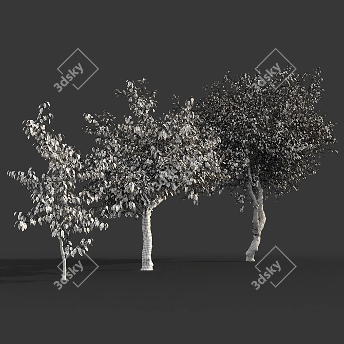 Lush Lemon Tree Collection: 3D Models & Textures 3D model image 3