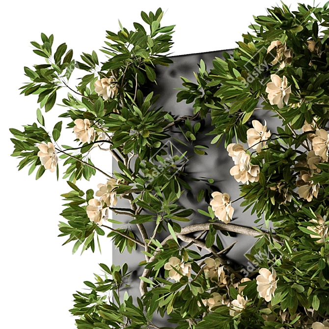 Ivy Greenery Box: Beauty in Bloom 3D model image 2