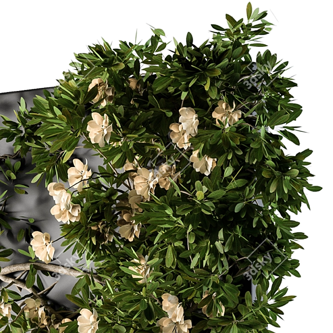 Ivy Greenery Box: Beauty in Bloom 3D model image 3