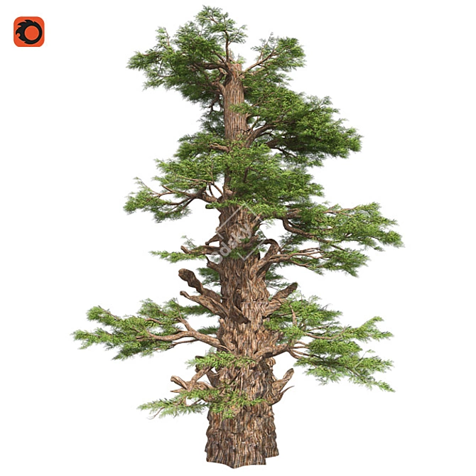 Optimized Western Juniper 99% Quad Tree 3D model image 1