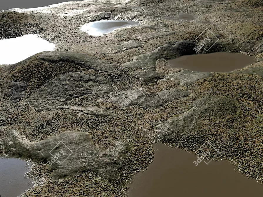 Lush Mossy Forest Floor 3D model image 2