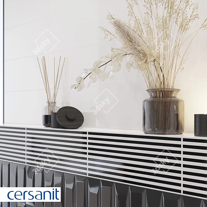 Cersanit Evolution Black & White Wall Insert 3D model image 2