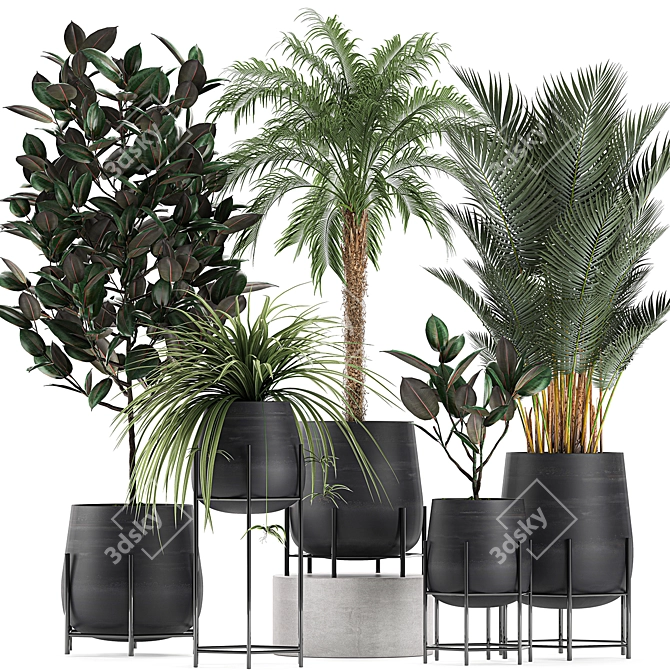 Tropical Indoor Plant Collection 3D model image 1