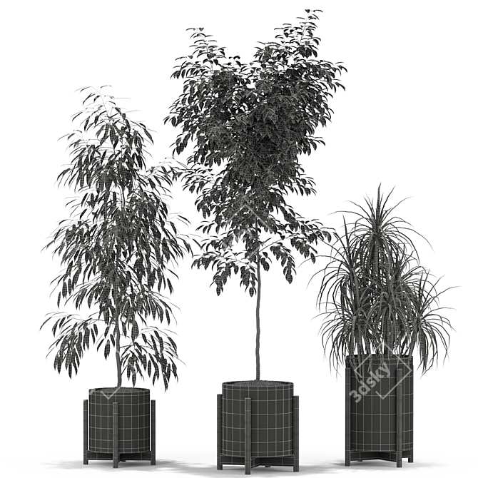 345-Piece Botanical Bliss Plant Collection 3D model image 5