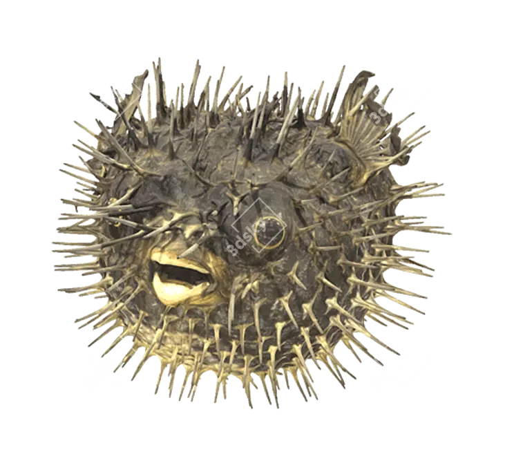 Quirky Fish Hedgehog Decoy 3D model image 1