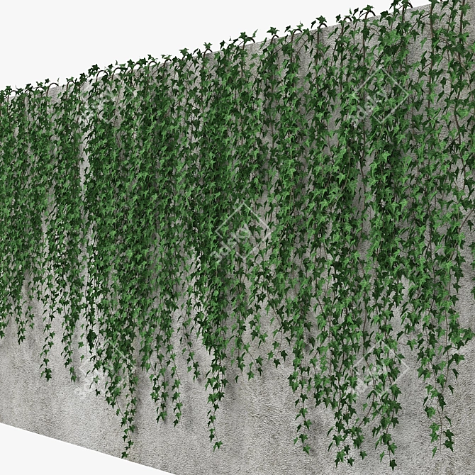 Mirror Ivy Wall: Versatile and Stunning 3D model image 2