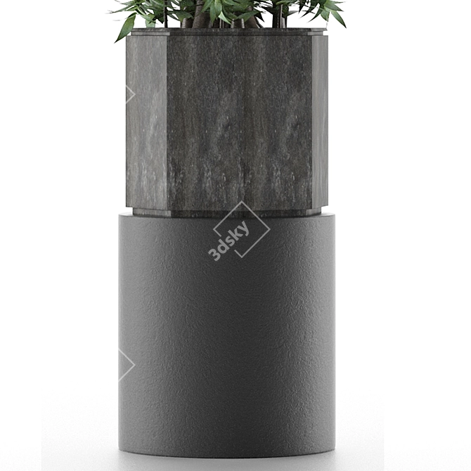 Modern Exotic Palm Tree: House Plant 20 3D model image 3