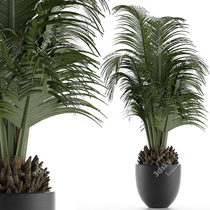 Exotic Palm Tree - Perfect Office Decor 3D model image 5