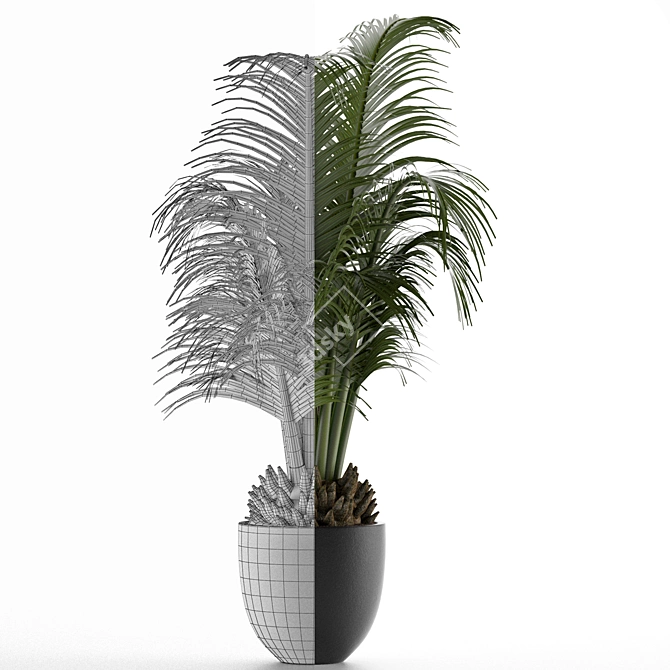 Exotic Palm Tree - Perfect Office Decor 3D model image 2