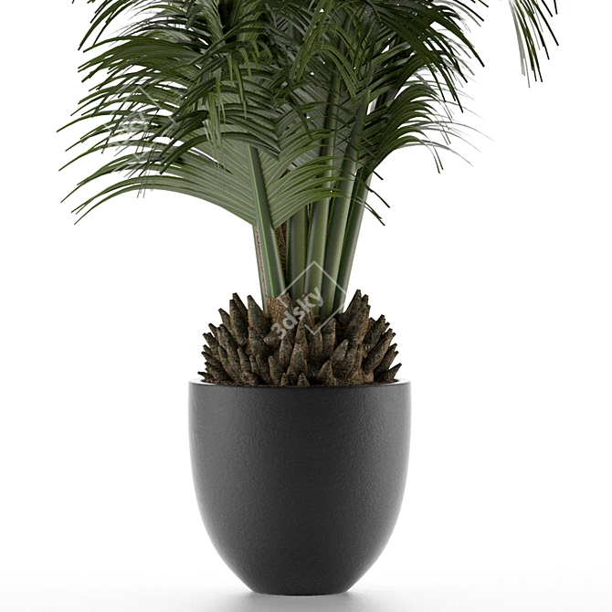 Exotic Palm Tree - Perfect Office Decor 3D model image 3