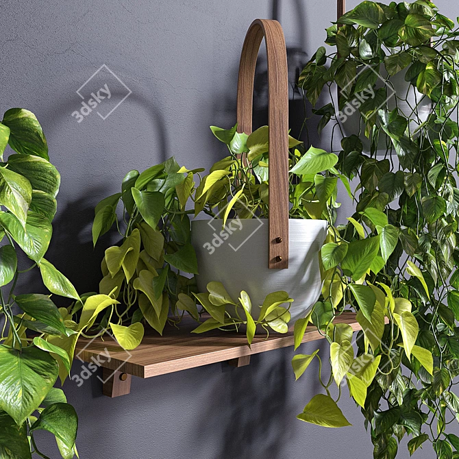 Lush Hanging Scindapsus Duo 3D model image 2