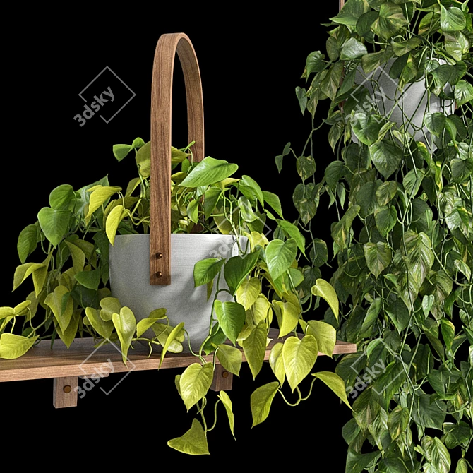 Lush Hanging Scindapsus Duo 3D model image 9