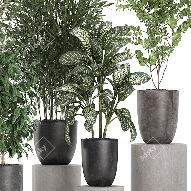 Tropical Plant Collection: Olive, Bamboo, Ficus 3D model image 2