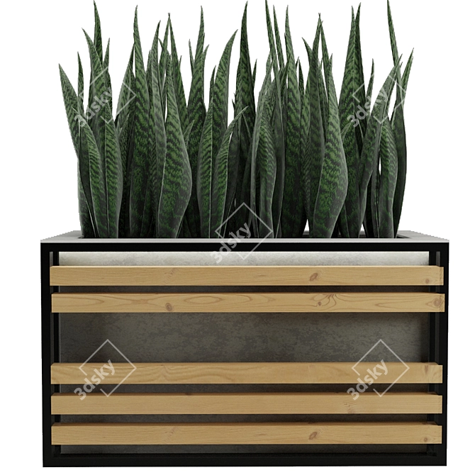 Concrete Textured Sansevieria Planter 3D model image 3