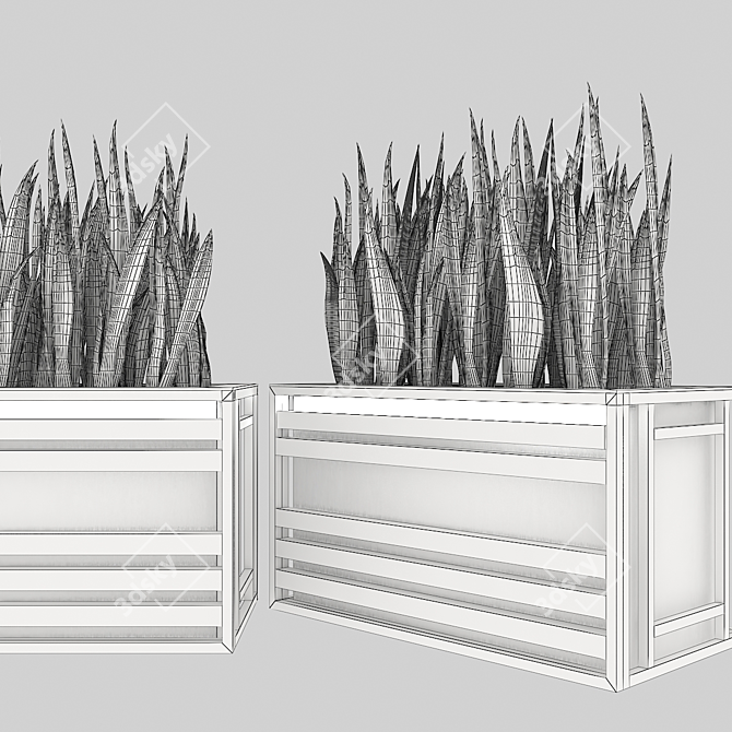 Concrete Textured Sansevieria Planter 3D model image 5