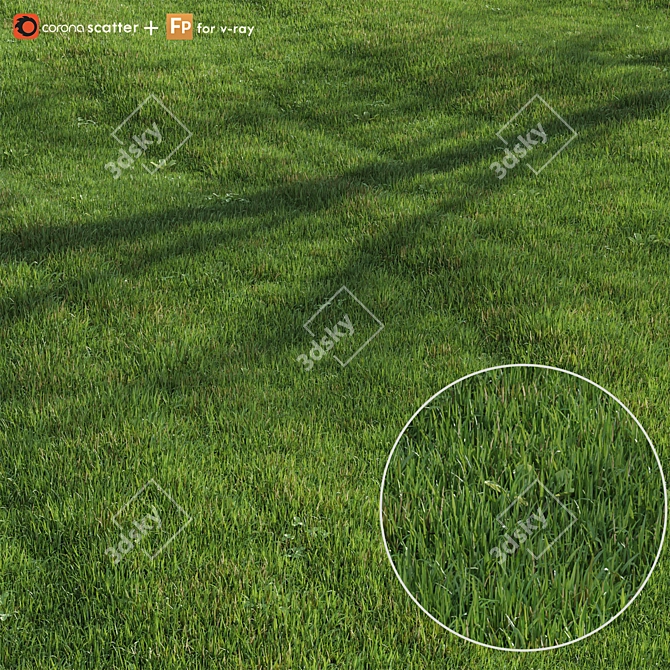 Lush Green Lawn 3D Model 3D model image 1