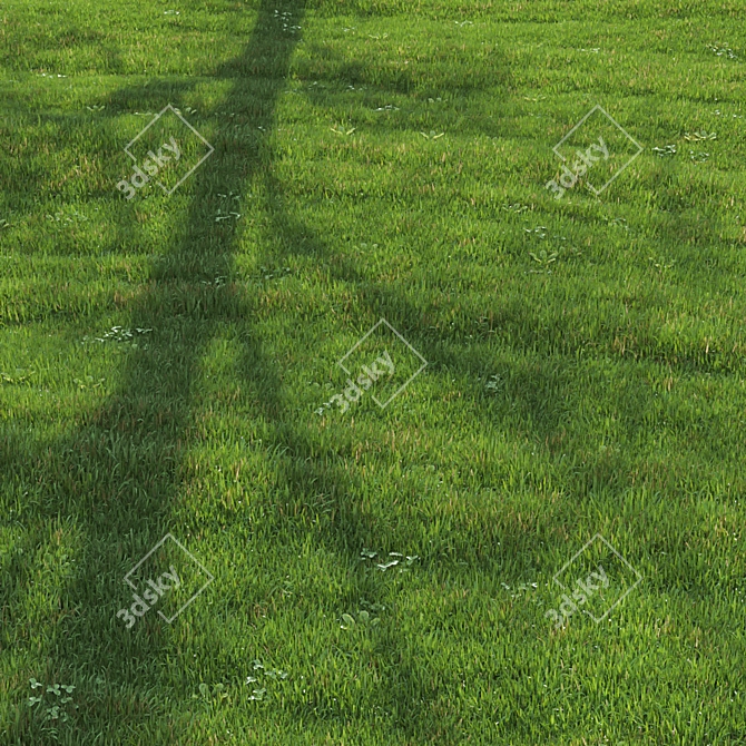 Lush Green Lawn 3D Model 3D model image 2