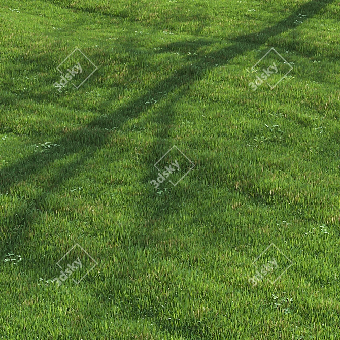 Lush Green Lawn 3D Model 3D model image 3