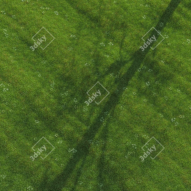 Lush Green Lawn 3D Model 3D model image 5