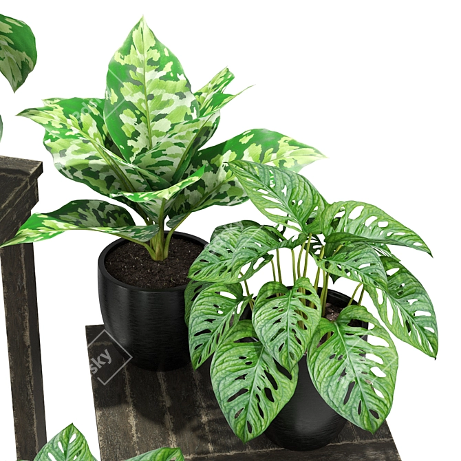 Green Oasis: Potted Plants Set 3D model image 2