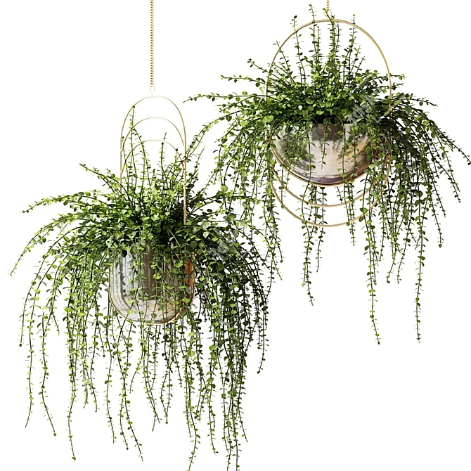 Designer Pots with Hanging Ampel Plants 3D model image 1