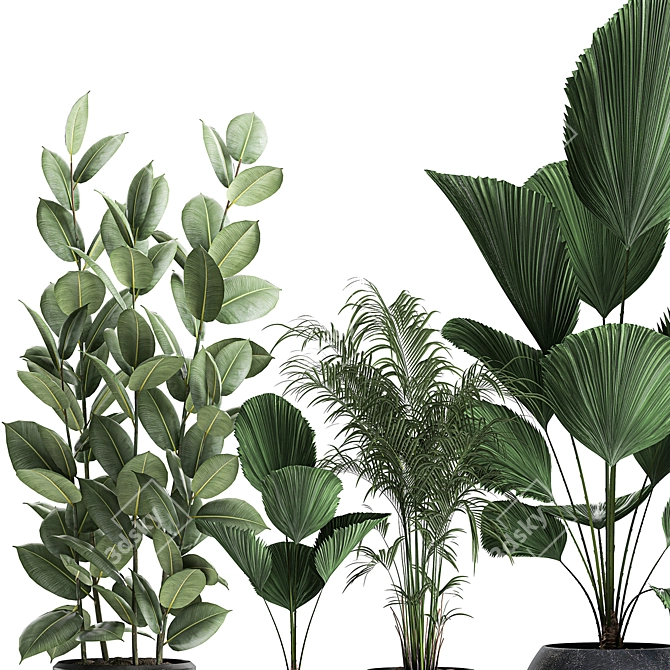 Exotic Plant Collection in Black Vase 3D model image 3