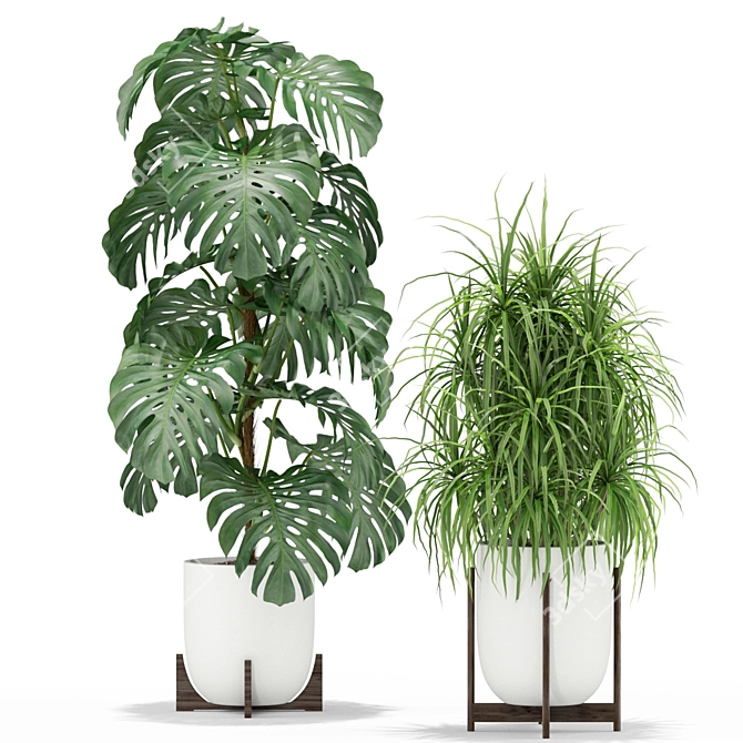 354 Plant Collection: Beautiful and Lifelike 3D model image 2