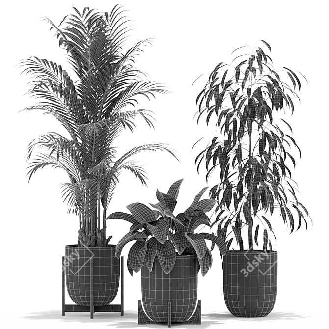 354 Plant Collection: Beautiful and Lifelike 3D model image 5