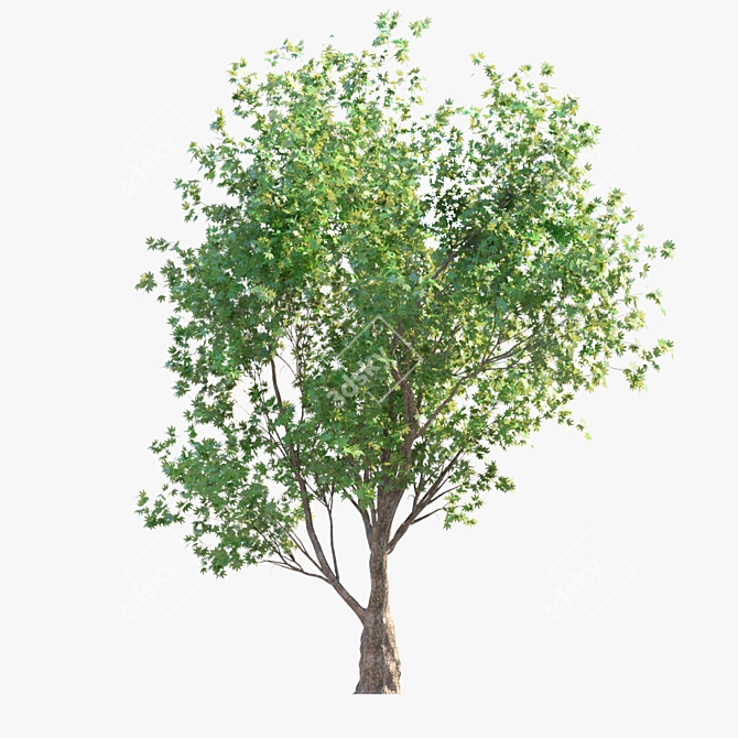 Dual Landscape Tree Set: Render-Ready 3D model image 3