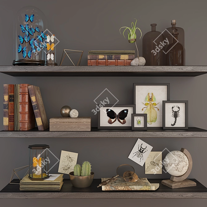 Adventurer's Discovery Set 3D model image 1