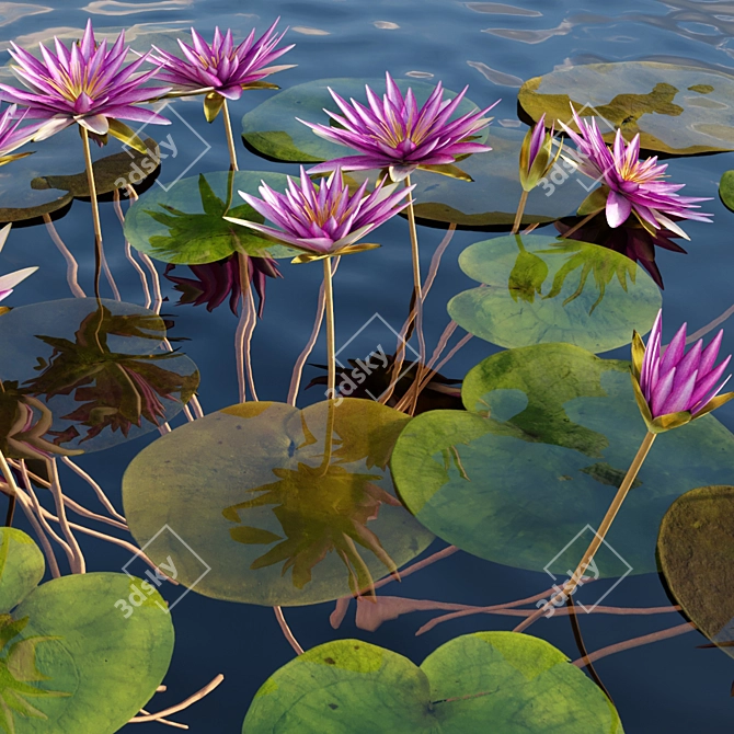 Waterlily Model Collection - 4 Formats 3D model image 2