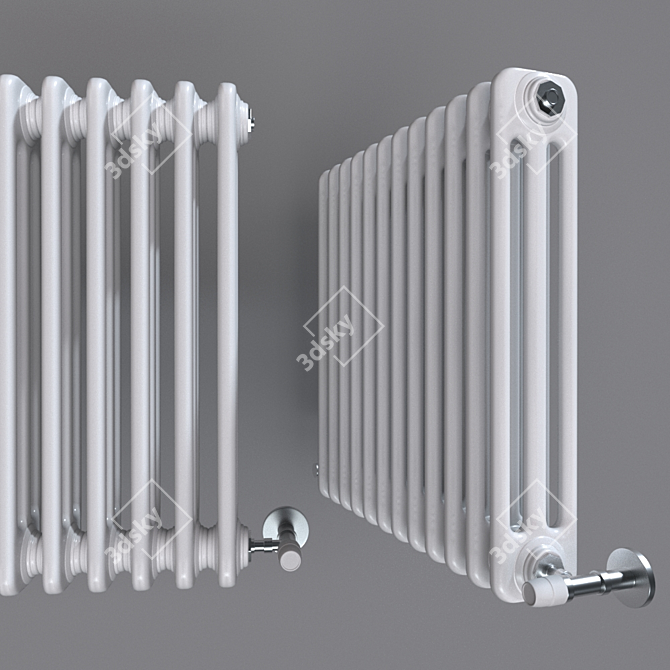 Elegant Cordivari Ardesia Radiator 3D model image 2