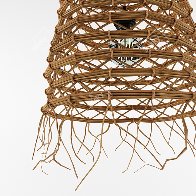 Rattan Palm Fringe Pendant
Bamboo Rattan Fringed Lamp
Rustic Rattan Fringe Pendant 3D model image 2