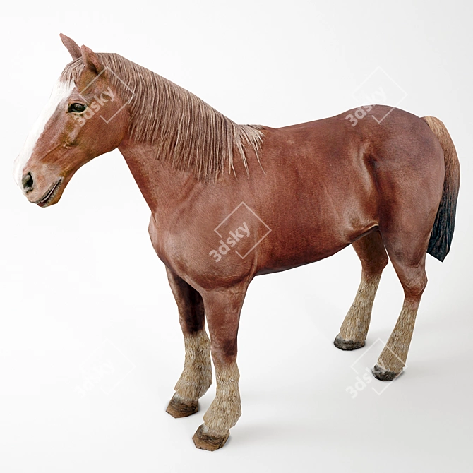 Realistic 3D Horse Model 3D model image 1