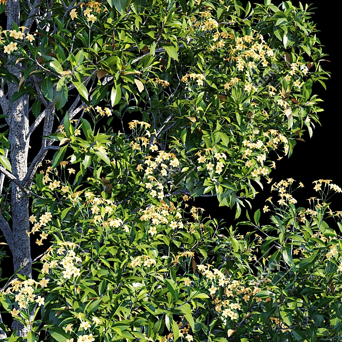 Native Frangipani: Vray & Corona Material 3D model image 5