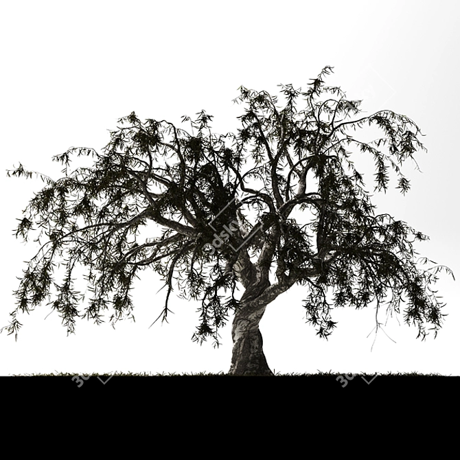 Dead-Tree Mesh Render Collection 3D model image 4