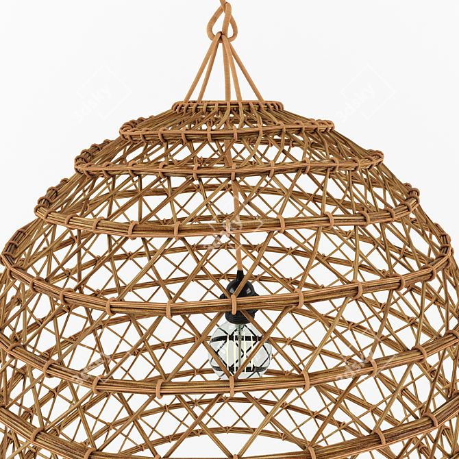 Tunisian Date Palm Rattan Lamp 3D model image 2