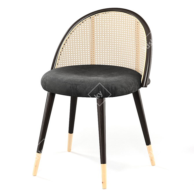 Vintage Rose Rattan Dining Set 3D model image 2