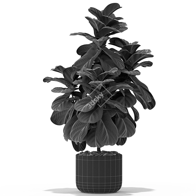 366 Stunning Plants Collection 3D model image 4